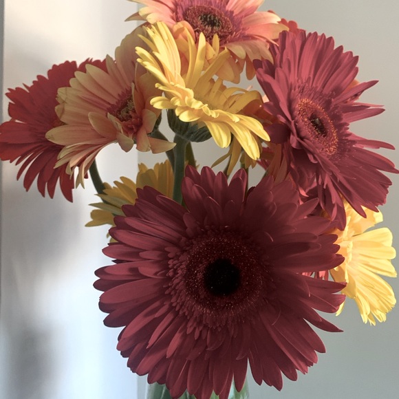 Meet your Posher, Kaelea - Picture 1 of 1